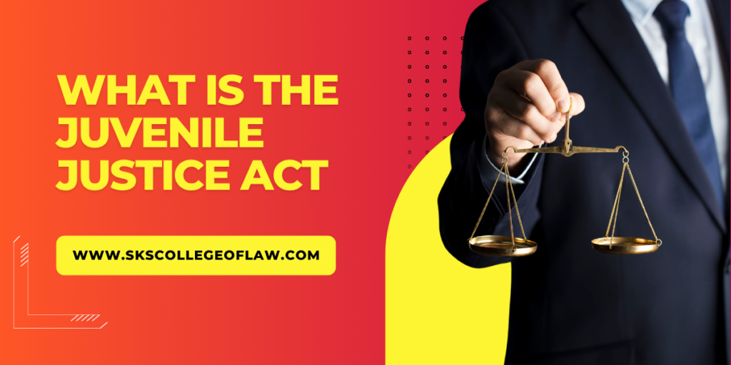 What Is the Juvenile Justice Act