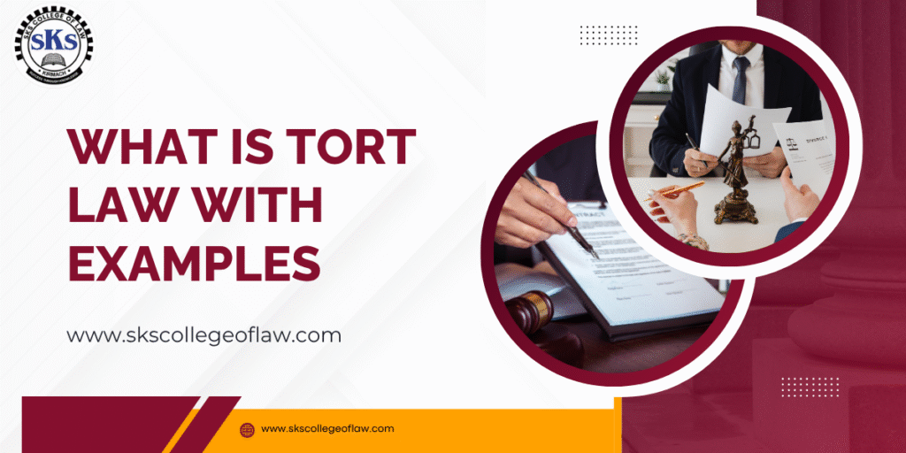 What is Tort Law with Examples